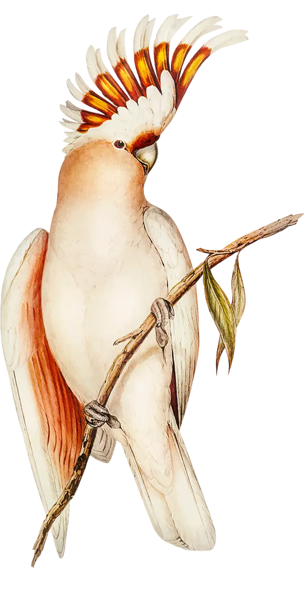 Kreatives Webdesign Korth